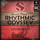 David Oliver's Rhythmic Odyssey - SOUNDIRON  | Libraries