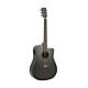 Violao Aco Forest Fs4d Tos Folk Strinberg 1