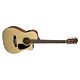 fender folk cf-60 ce series