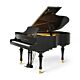 Kayserburg GH170 Piano de Cauda - 170cm