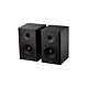 kurzweil ks-40a monitores