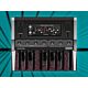 Lowdown Bass Synthesizer - CA Plugins | Synth