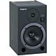 Monitor Ativo Bi-Amplificado Roland DS-5
