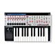 novation 25slmkii fatar teclado controlador