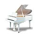 Piano de cauda ritmüller r8 Ritmüller R8 - Piano de cauda de 88 teclas, 3 pedais em latão fundido, 150 cm de profundidade, tábua harmônica de Spruce maciço, 9 costelas ou baralhos, tampa do teclado com amortecedores, escala Duplex, acabamento Alto Brilho
