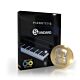 Pianoteq 8 Standard - PIANOTEQ  | Synth