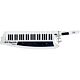 roland ax-synth-wh keytar - usado