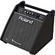 Roland PM-100 Amplificador