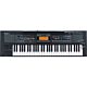 Roland e-09/w arranjador Teclado com ritmos, mais de 800 sons, 15W potência, 64 polifonia, acompanha fonte-roland e-09/w arranjador ID-1235