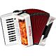 Roland FR-1 V-Accordion Acordeon - Usado