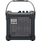 roland micro cube amplificador