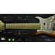 SC Electric Guitar 2 - Prominy  | Libraries
