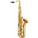 shelter sgft6430l sax alto