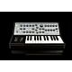 Sintetizador Moog Sub Phatty - Potência e Versatilidade compacta