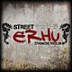 Street Erhu - SOUNDIRON | Libraries