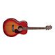 takamine eg-430s vv violão