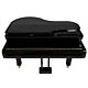 Piano Digital Harmonia HS 1000 Semi Cauda - 88 Teclas Ponderadas