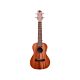 Ukulele Pearl River com Estojo Verde 10mm UL20E-C - Perfeito para Músicos Exigentes