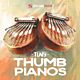 Tiny Thumb Pianos - SOUNDIRON | Libraries