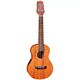 ukelele eletroacústico takamine eguc1