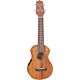 ukelele eletroacústico takamine egus1