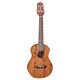 ukelele takamine guc1