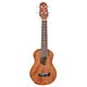ukelele takamine gus1