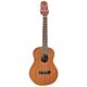 ukelele takamine gut1