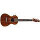 ukulele fender nohea electric