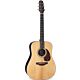 violão takamine ef360s-tt & tld-2 c/case