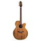 violão takamine ef508kc nk & ct4bii com case