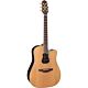 violão takamine gb7c & ct4b com case