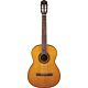 violão takamine gc1
