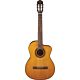 violão takamine gc1ce