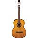 violão takamine gc1e