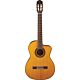 violão takamine gc5ce n & tp4t