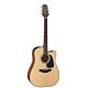 violão takamine gd12ce ns