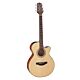 violão takamine gf15ce
