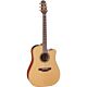 violão takamine p3dc ns fosco & ct4bii com case