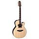 violão takamine tsf48c & ctp2 c/case