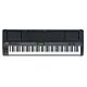 yamaha cp-300