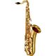 yamaha yts-480 saxofone
