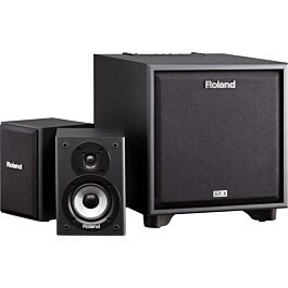 Roland CM-220 Monitor CUBE 2.1 Usado - Teclacenter