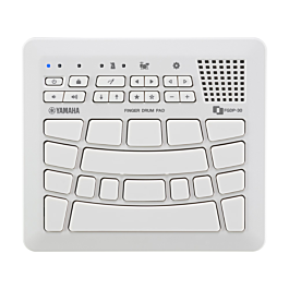Gravador Roland Micro BR-80 - Gravação de alta qualidade