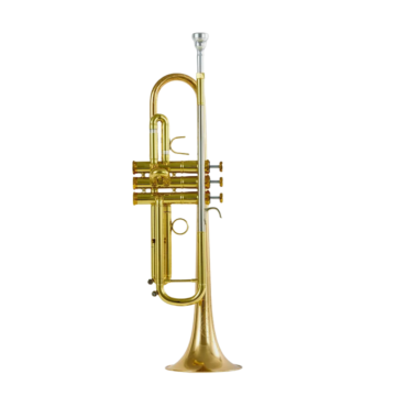 Der Loewe DLTR-160 Trompete Dourado