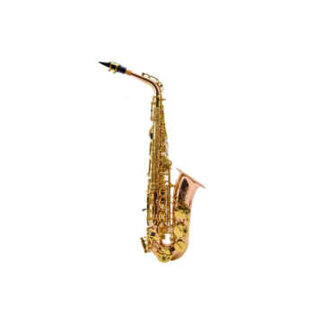Saxofone Alto Der Loewe DLAS-160 Dourado
