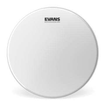 Pele Batedeira Para Caixa E Tom 8'' Evans UV1 B08UV1 1