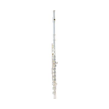 TC-DL-DLFL-170-principal