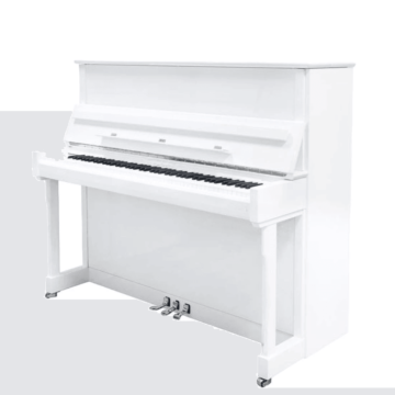 TC-KAY-KX1-A112-principal