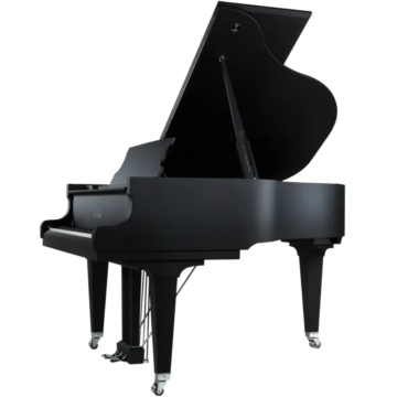 TC-SCH-C169-BLACK-PEARL-principal